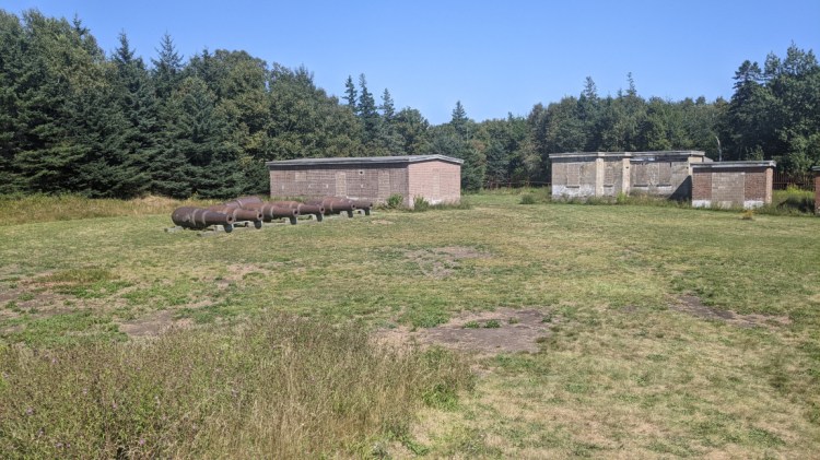 A line of canons by boarded up buildings