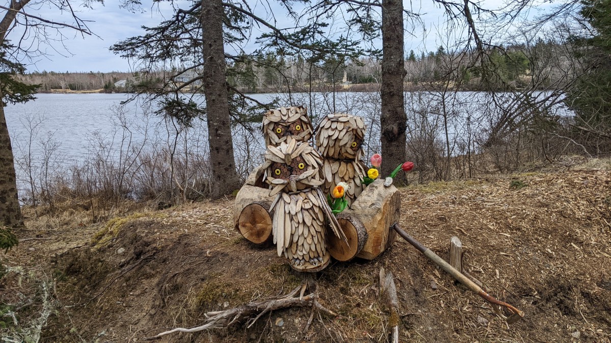 Sculptures of three owls with several colourful tulips.