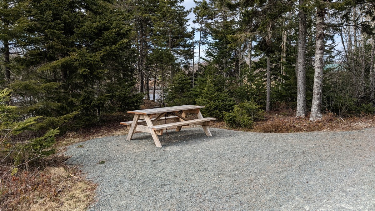 Picnic bench in a gravel area beside a trail. Water can be seen through the trees in the background.