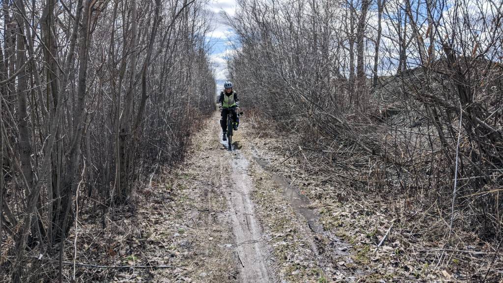 A rough section of the trail between Wilsey Rd and Innovation Rd.